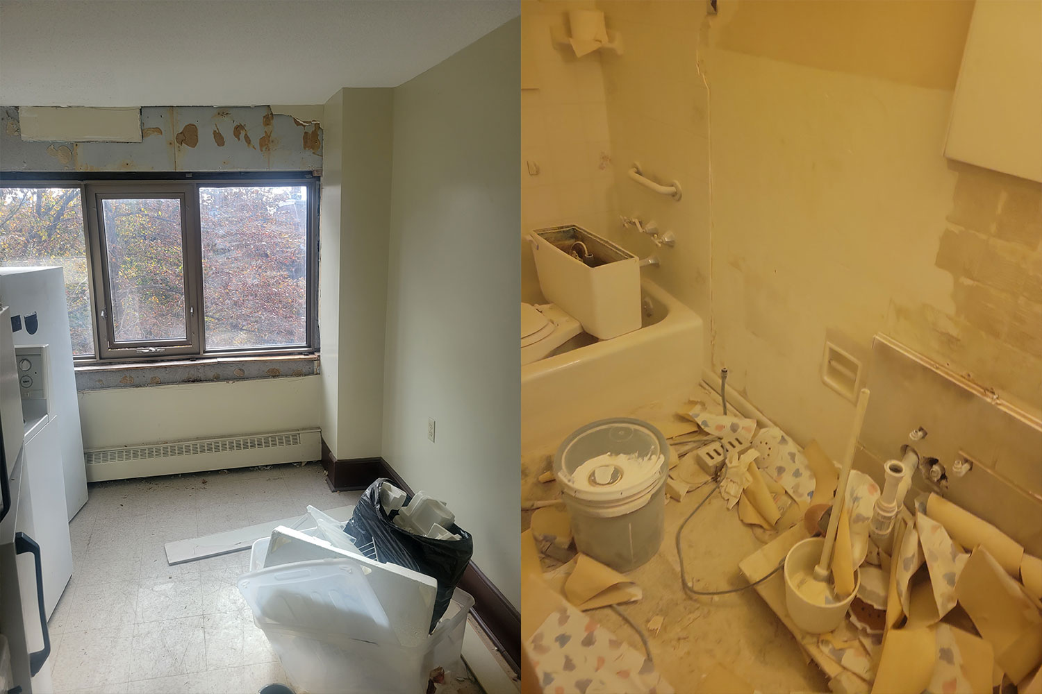 Before image